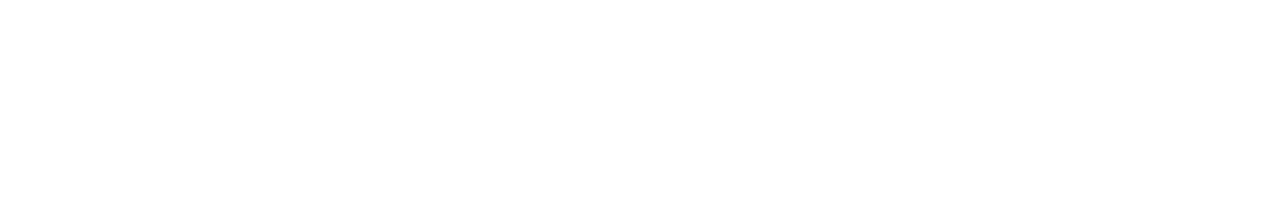 AV-LOGO-BLANC